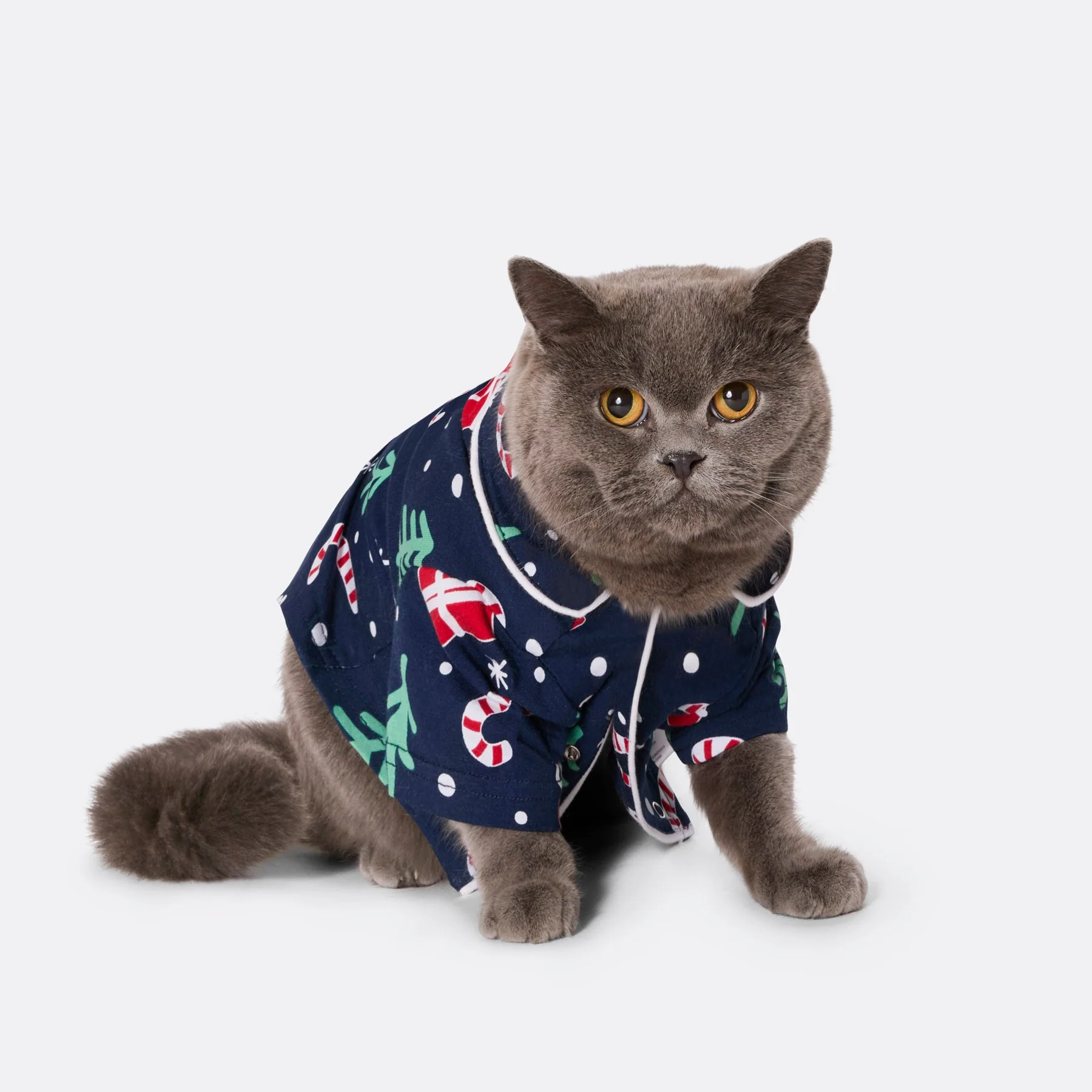Blaues Weihnachtsmuster Weihnachtspyjama für Katzen - Image 2
