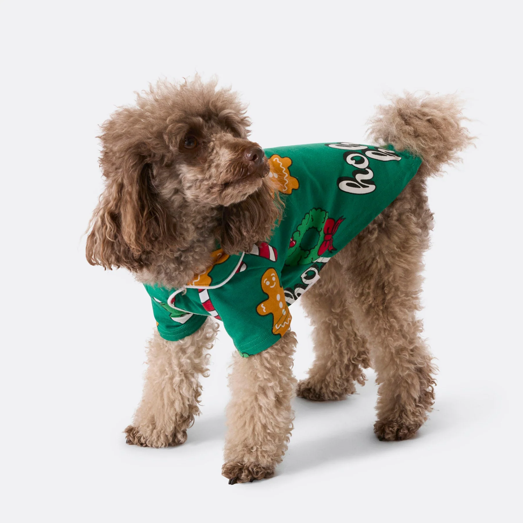 Grüner Hohoho Weihnachtspyjama für Hunde - Image 2