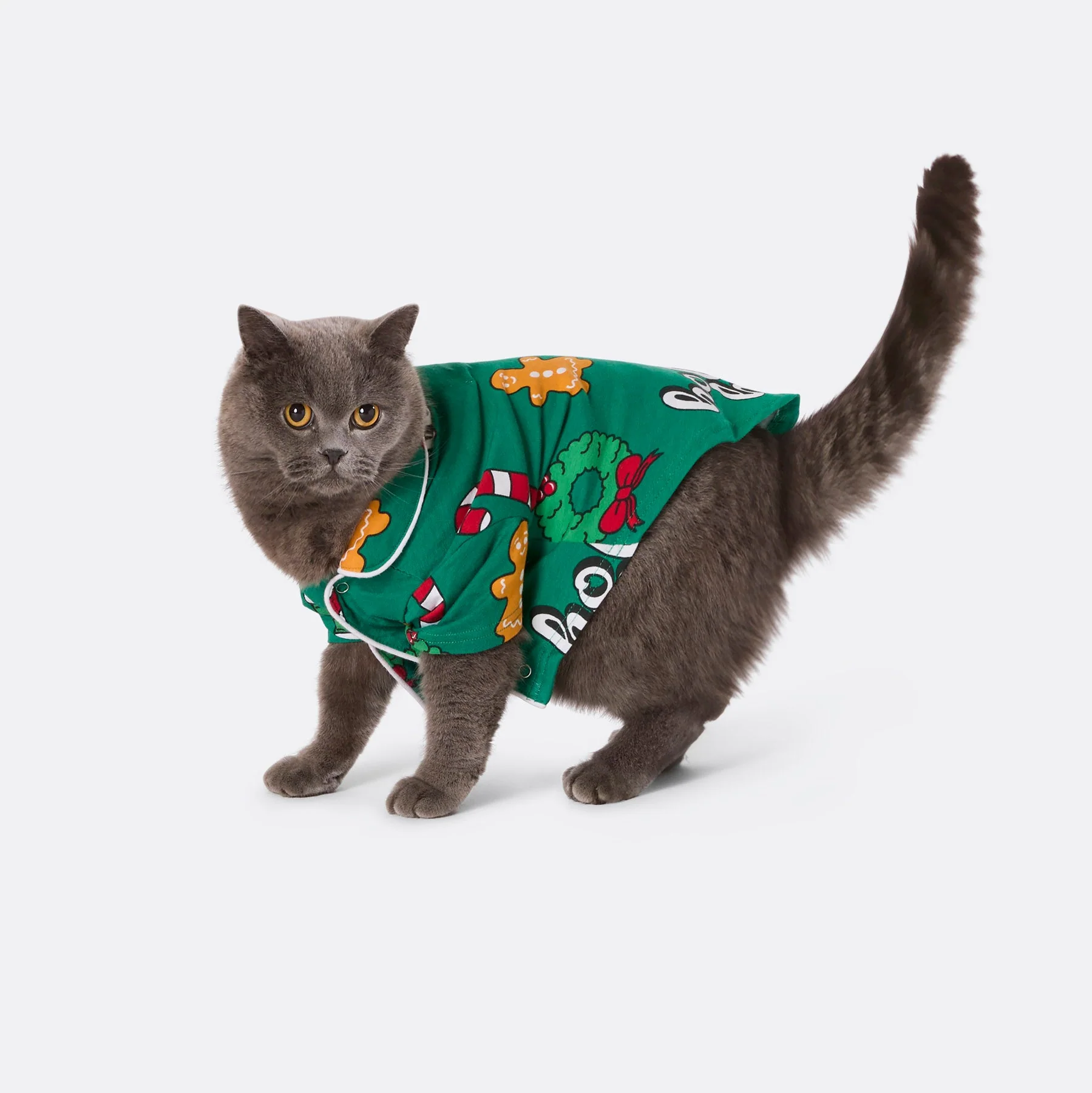 Grüner Hohoho Weihnachtspyjama für Katzen