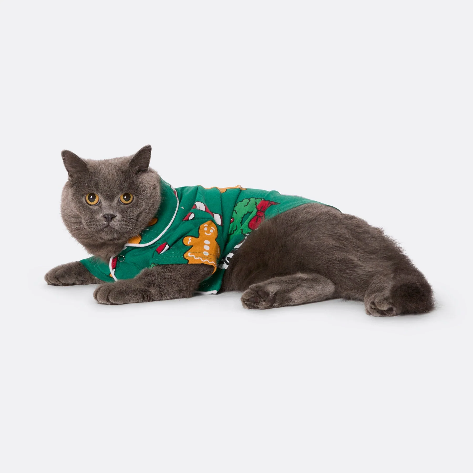 Grüner Hohoho Weihnachtspyjama für Katzen - Image 2