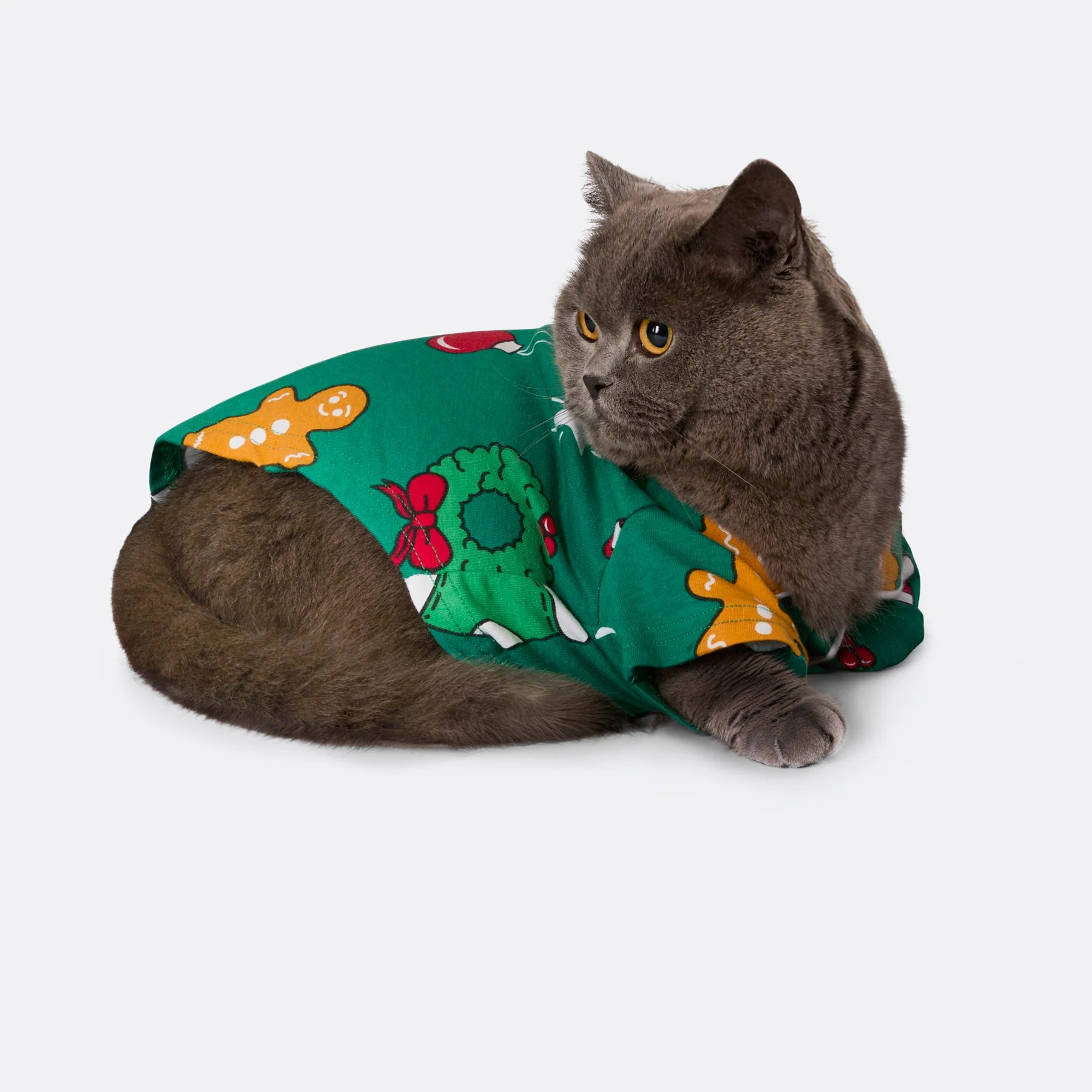 Grüner Hohoho Weihnachtspyjama für Katzen - Image 3