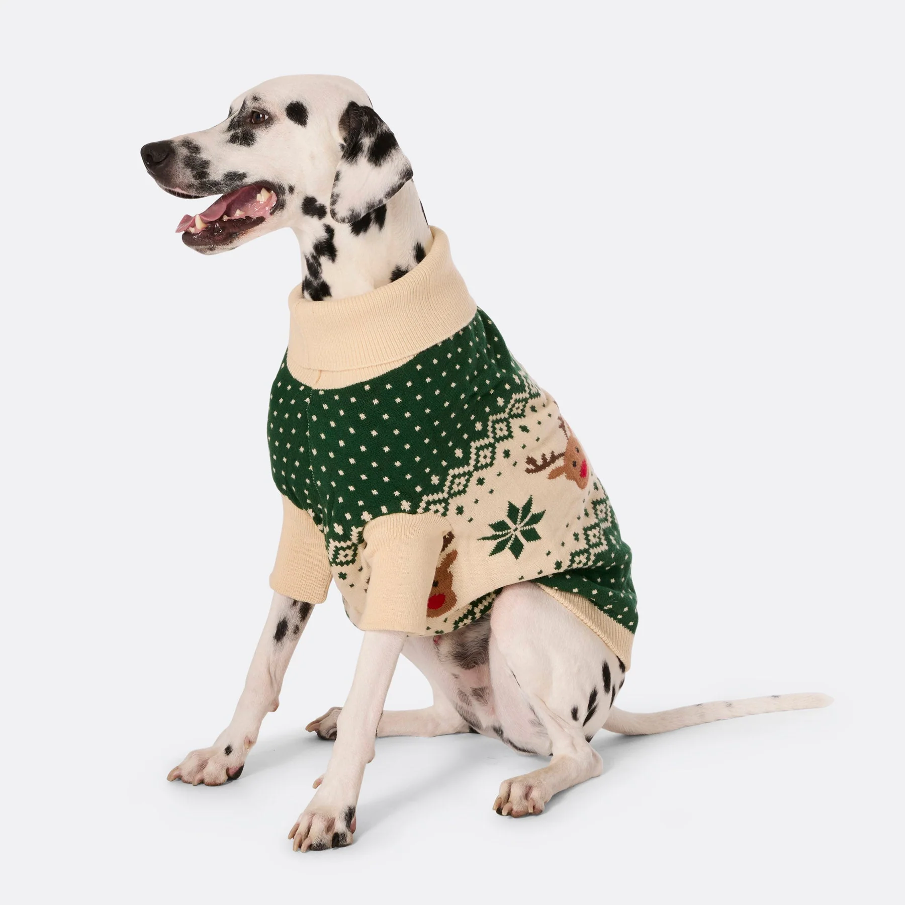 Grüner Retro Rentier Weihnachtspullover für Hunde - Image 2