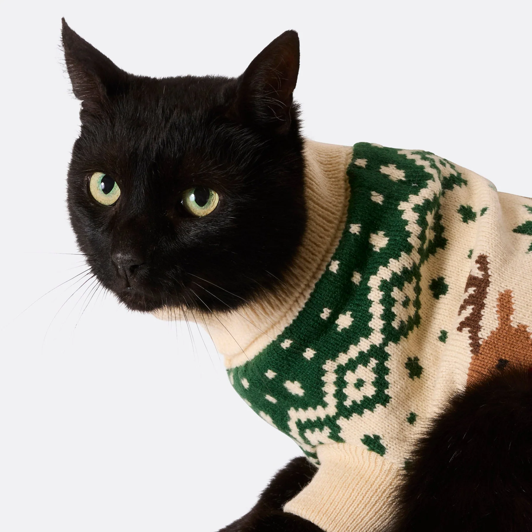 Grüner Retro Rentier Weihnachtspullover für Katzen - Image 3