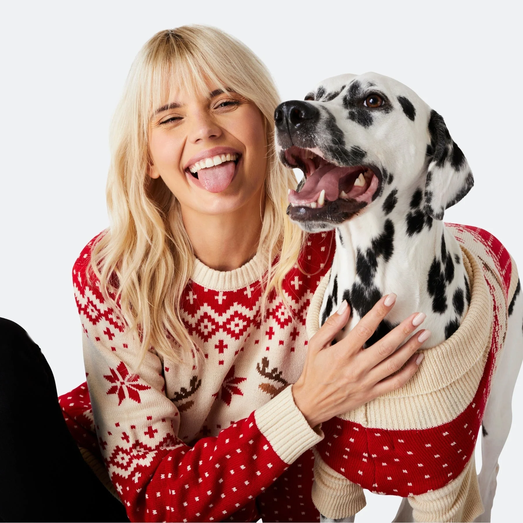 Retro Rentier Weihnachtspullover für Hunde - Image 4