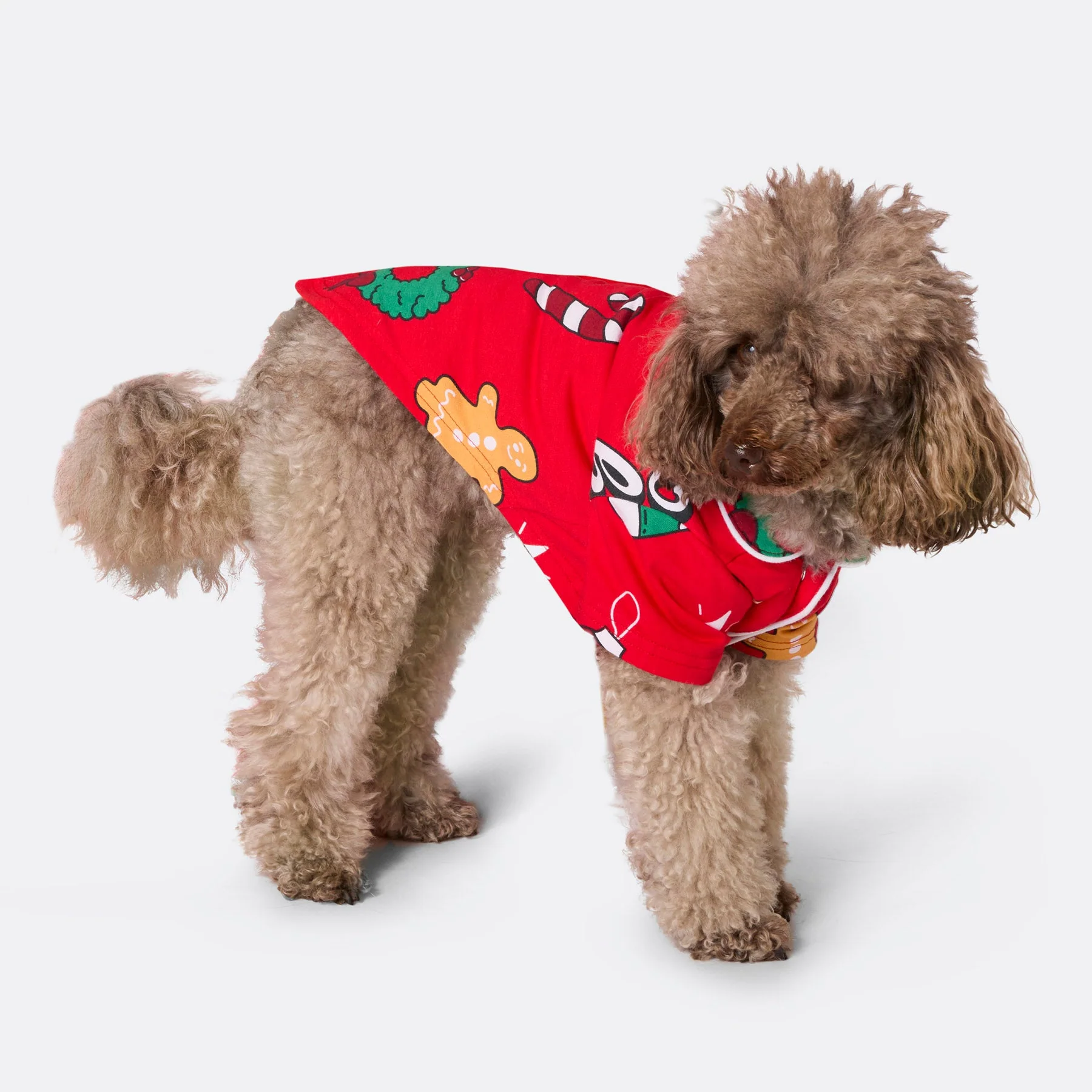 Roter Hohoho Weihnachtspyjama für Hunde - Image 3