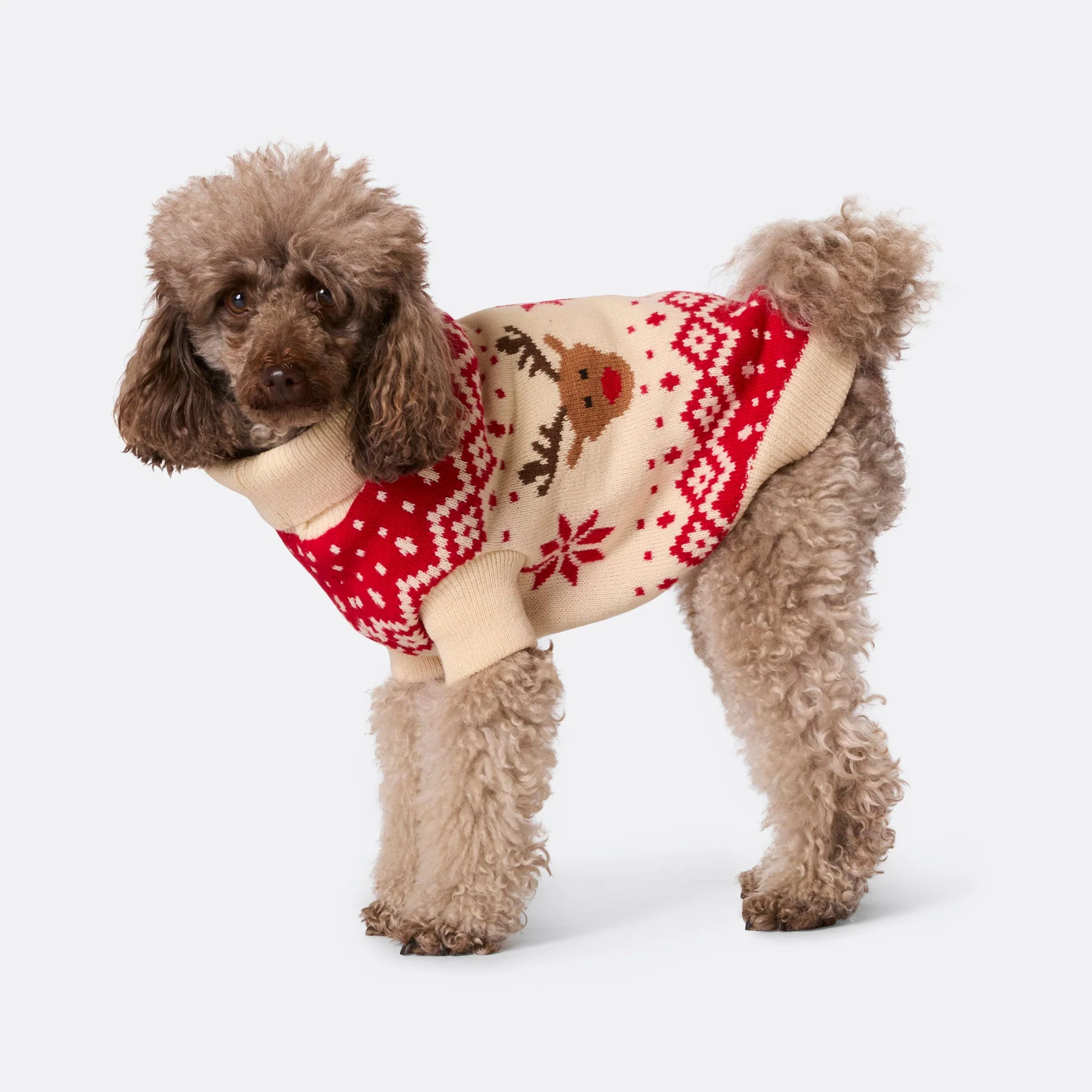 Roter Retro Rentier Weihnachtspullover für Hunde - Image 4