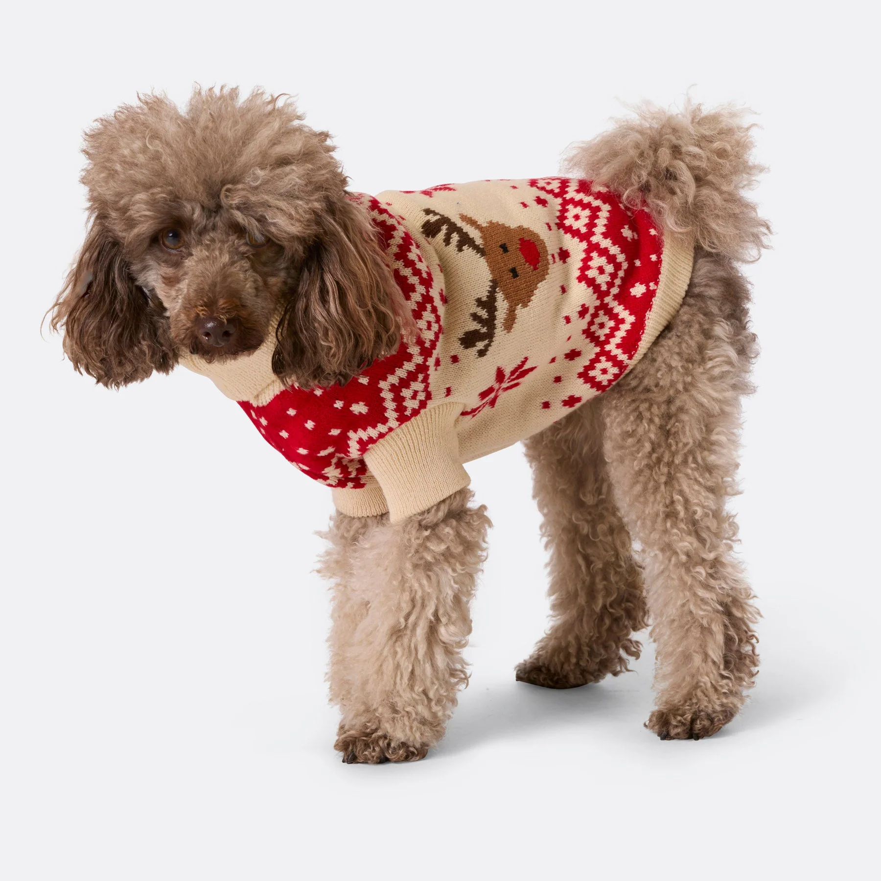 Roter Retro Rentier Weihnachtspullover für Hunde - Image 5